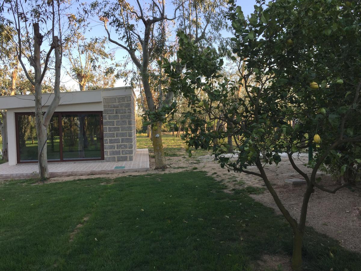 Tenuta Monaci La Murra Carmiano  Dış mekan fotoğraf